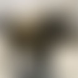 Secrets of Chicago's Bronze Cow