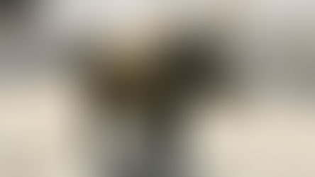 Secrets of Chicago's Bronze Cow