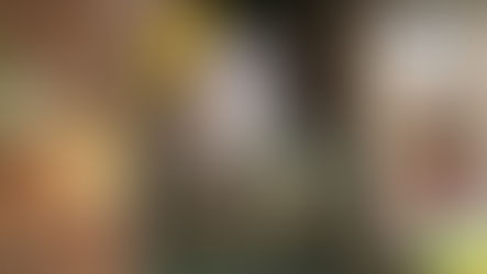 Sesame Street, Bob McGrath, and Chicago