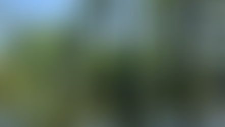 Movies on the Bayou: Live on Location in Louisiana