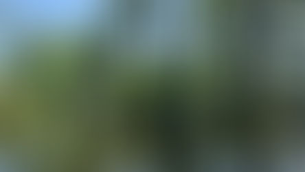 Movies on the Bayou: Live on Location in Louisiana