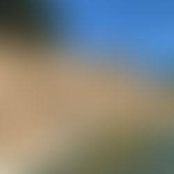 The Secret Above Chicago's Fountain of Time