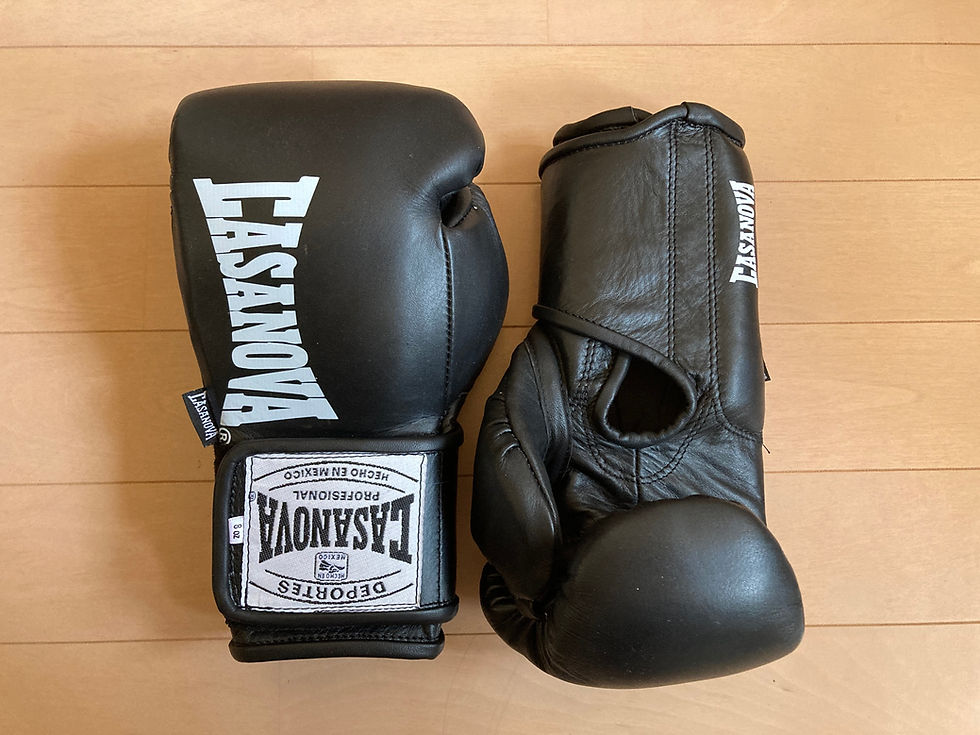 Casanova ベルクロボクシンググローブ【8oz】（各色）カサノバ