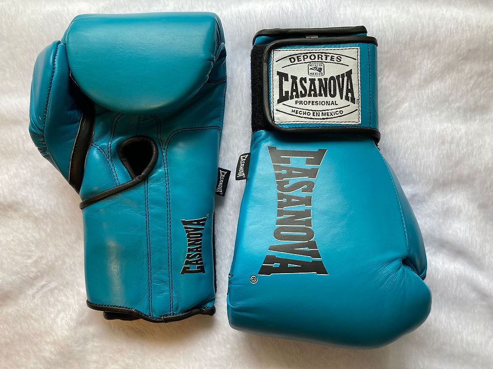サムネイル： Casanova ベルクロボクシンググローブ【10oz】（各色）カサノバ