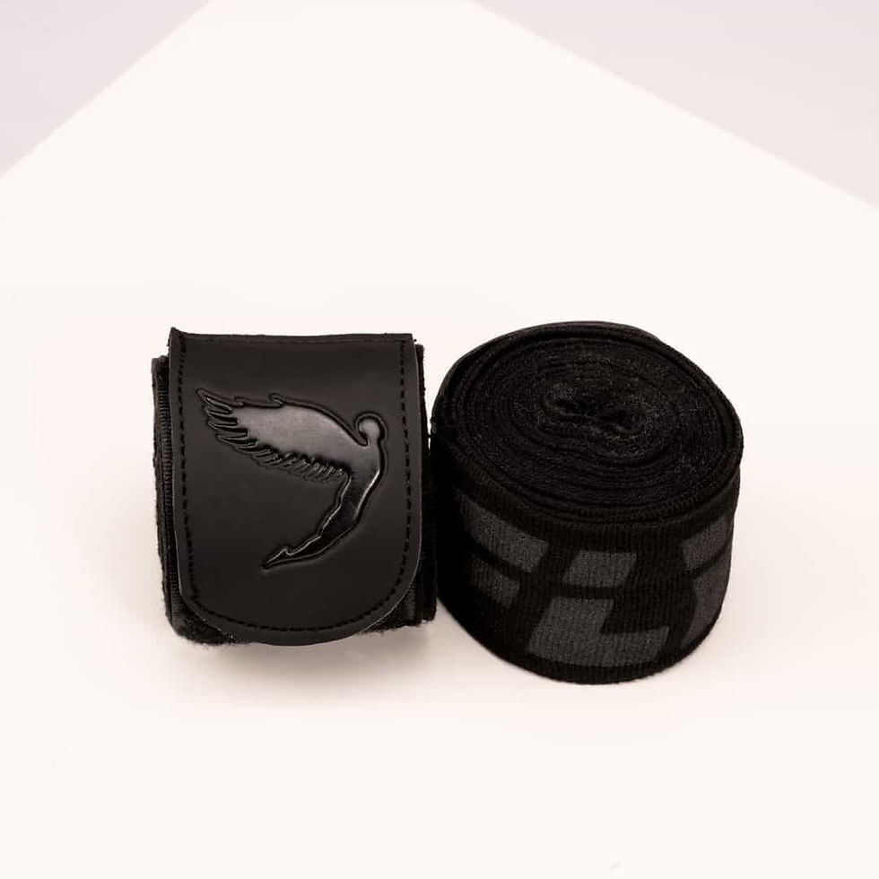 【即納・送料無料】FLY BIGLOGO ハンドラップ バンテージ フライ
