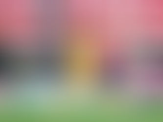 Chivas 3 Tigres 4, entregaron el liderato