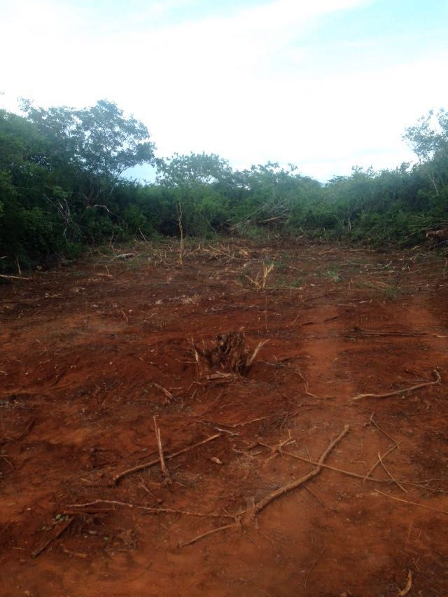 EL ORIGEN, DZUNUNCAN