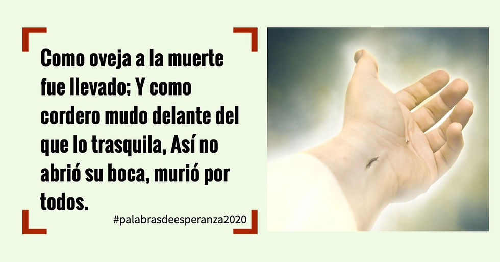 Como oveja a la muerte fue llevado; Y como cordero mudo delante del que lo trasquila by Blanca Q.