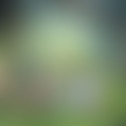 Understanding the Impact of Generational Programming on Your Life as a Man