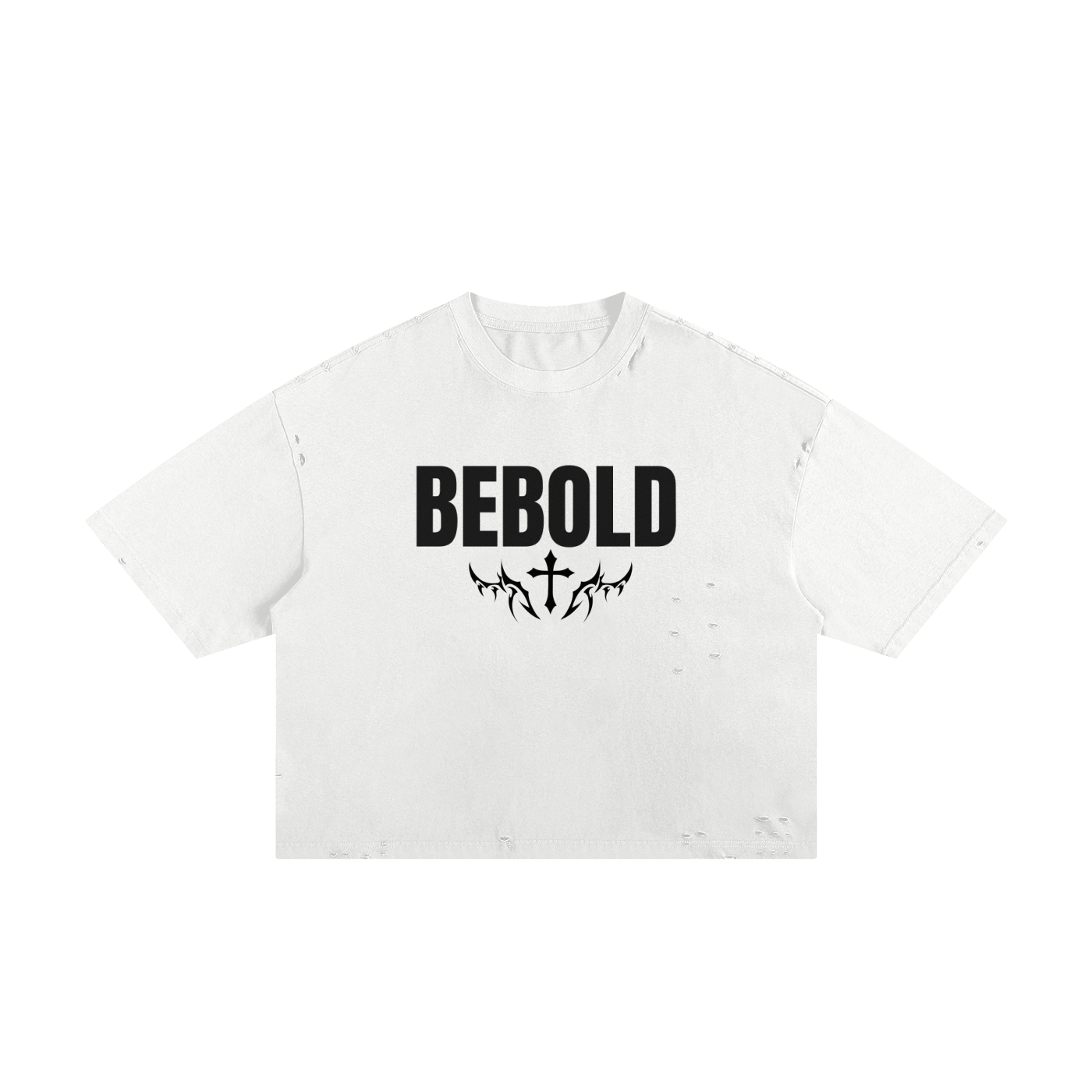 Classic Frayed Boxy Tee-Biblical Christianity