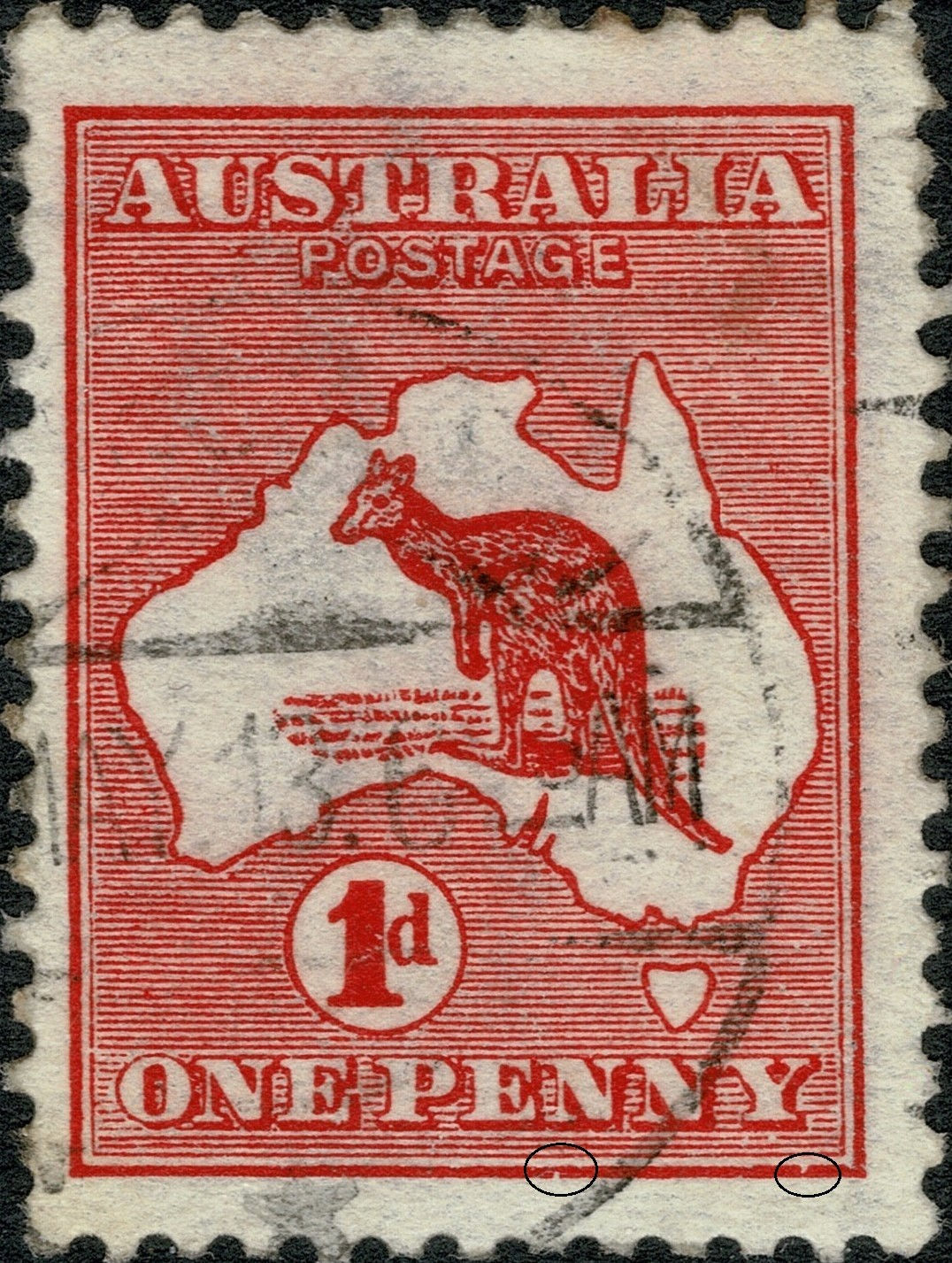 Kangaroo 1d Red - Die 1 Position CL36