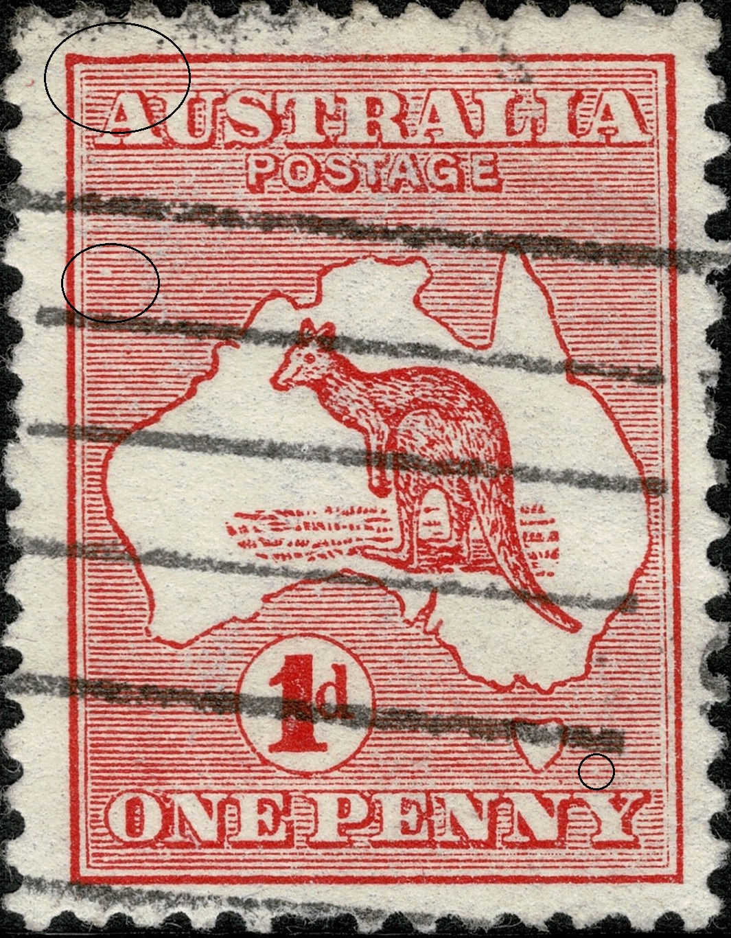 Kangaroo 1d Red - Die 2 Position FL26