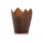 TULIP 110/35