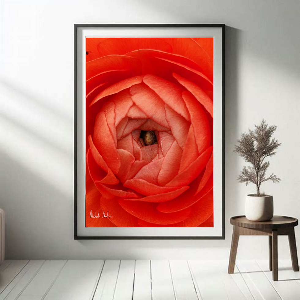 צילום אבסטרקט של פרח רגע לפני שיא הפריחה שלו, בצבעי כתום אדמדם