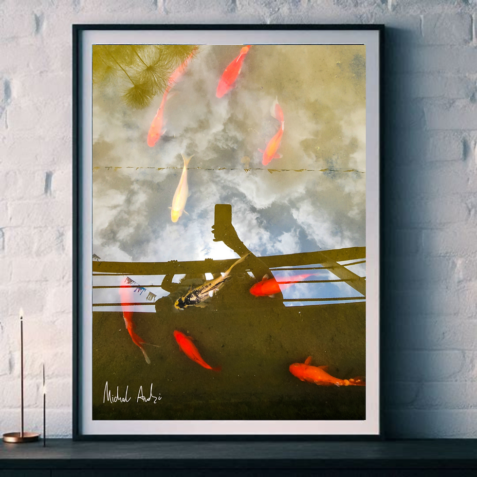 צילום של דגי זהב שנעים בזרם אחד צילום שמשדר זרימה והשתקפות