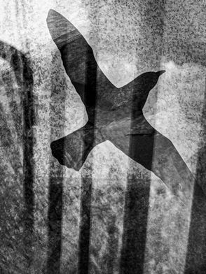 Projekt 2024 mörka bilder