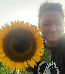 sunflowers