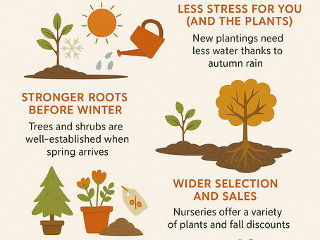 Cool Weather Strong Roots: Fall’s Secret Planting Power