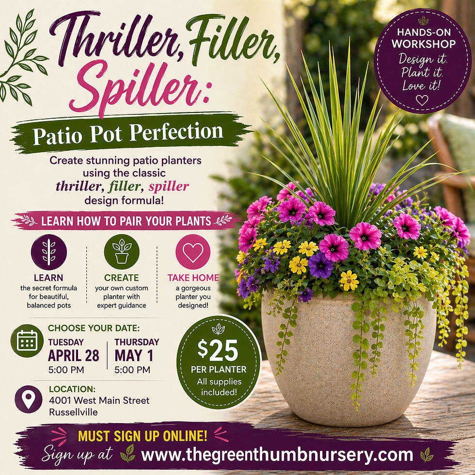 Patio pot perfection