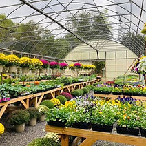 Perennial and annual flowers for every season.
