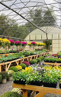Perennial and annual flowers for every season.