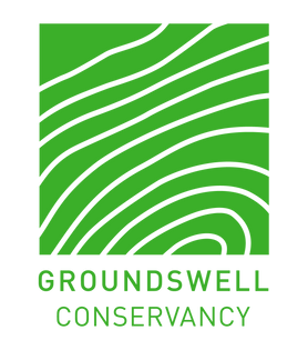 groundswell_conservancy_green_square PNG.png