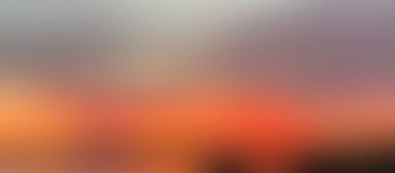 Neighbors in my Vineyard