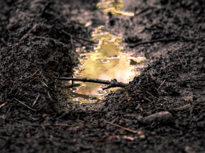 Blessed by the Mud…