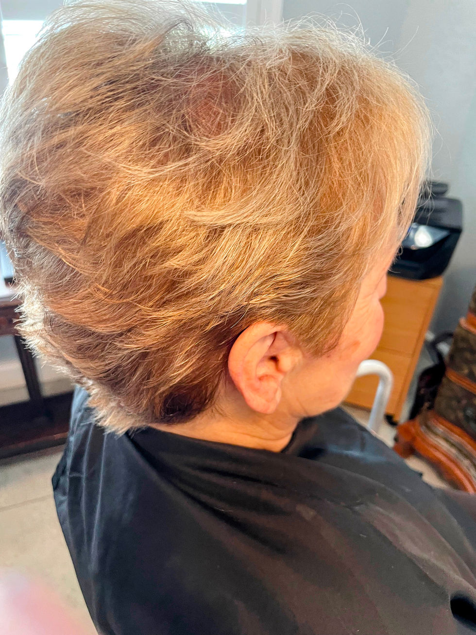 HIGHLIGHTS SHORT HAIR DARK BLONDE WITH HIGHLIGHTS