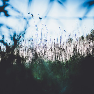 Björnö Nature Reserve