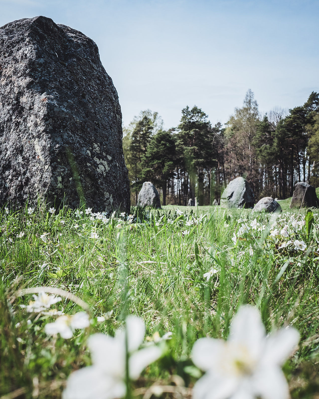 Anundshög in spring