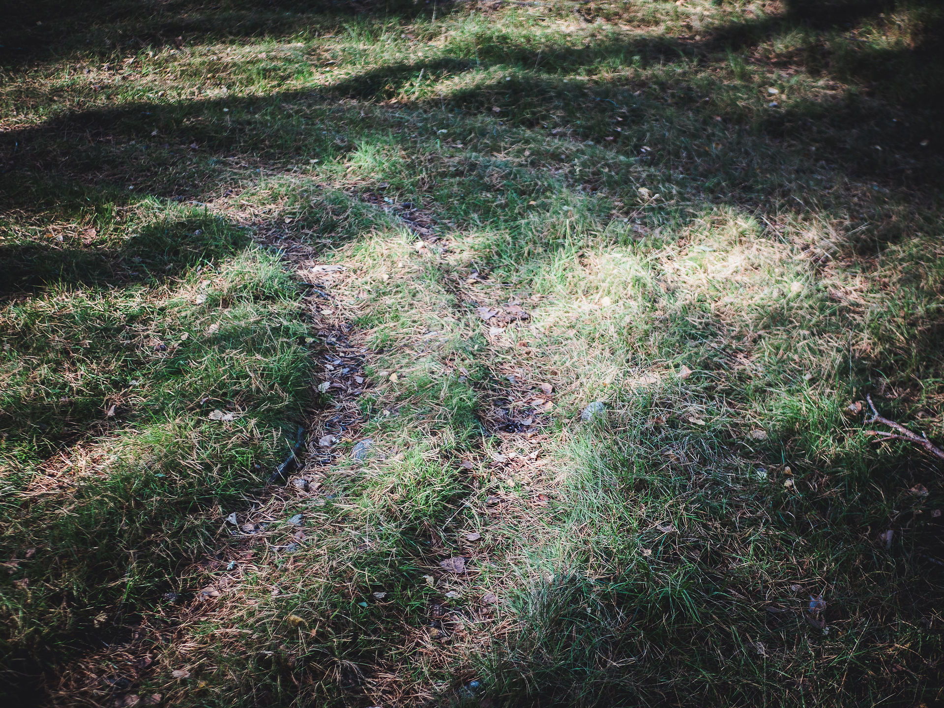 Labyrinth at Tibble Västerås