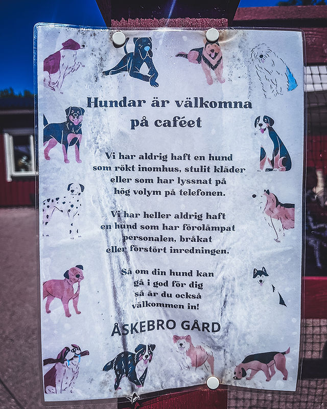 Dog-friendly cafe jokes