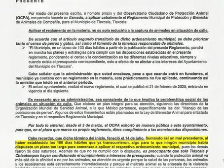 OCPA LLAMA AL MUNICIPIO DE TLAXCALA A APLICAR CABALMENTE EL REGLAMENTO DE BIENESTAR ANIMAL