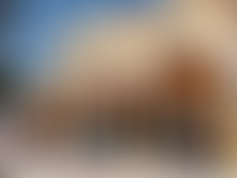 AUTORIDADES DE TEPANCO, PUEBLA, YA INVESTIGAN AHORCAMIENTO DE PERRO