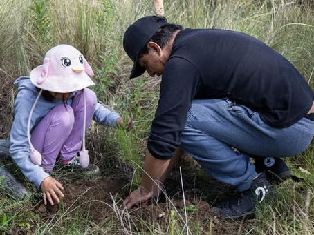 HUAMANTLA CONCLUYE CON ÉXITO JORNADAS DE REFORESTACIÓN COMUNITARIA 2025