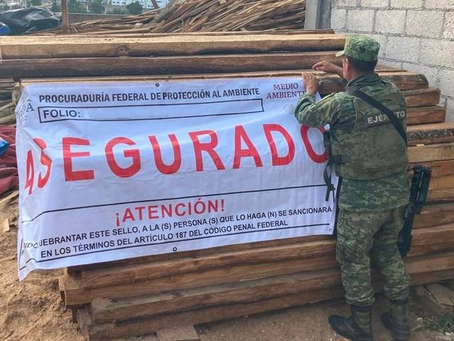 PROFEPA CLAUSURA ASERRADERO EN ZONAS CERCANAS A LA MALINCHE Y EL IZTA-POPO