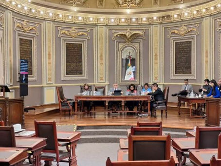 PROPONEN REFORMAS PARA PROTEGER A LA INFANCIA EN PUEBLA