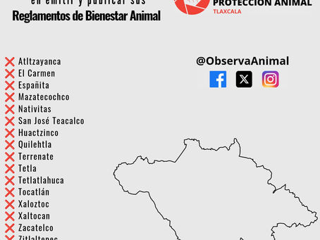 44 MUNICIPIOS DE TLAXCALA CON REGLAMENTO DE BIENESTAR ANIMAL Y 16 EN OMISIÓN