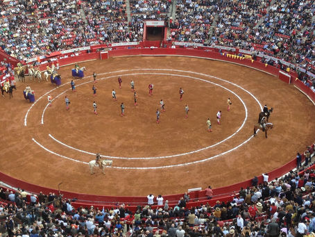 REVOCA LA SUPREMA CORTE DE JUSTICIA DE LA NACIÓN LA SUSPENSIÓN QUE PROHIBÍA LAS ACTIVIDADES TAURINAS