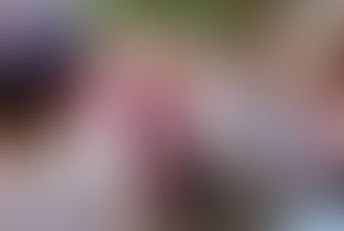 CONCLUYE SHEINBAUM GIRA DE SUPERVISIÓN POR AFECTACIONES DE LLUVIAS EN PANTEPEC