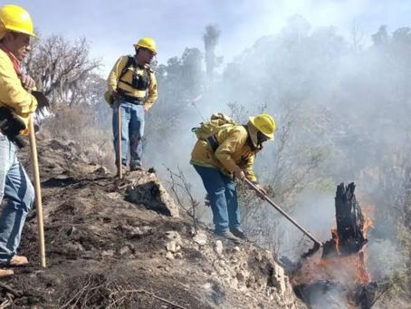 ALERTAN POR 50 INCENDIOS FORESTALES EN LO QUE VA DEL AÑO EN PUEBLA