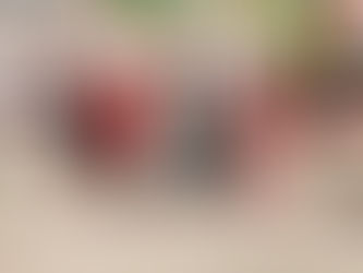 PRESIDENTE MUNICIPAL DE YAUHQUEMEHCAN ENTREGA 250 DESPENSAS A FAMILIAS