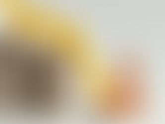 PUEBLA, LA SEXTA ENTIDAD CON PEOR CRECIMIENTO ECONÓMICO EN 2023