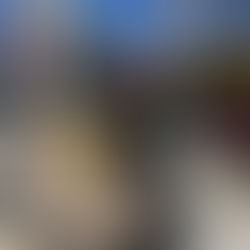 ASEGURA #FGR PREDIO EN #TLAHUAPAN, #PUEBLA, DONDE SE VENDÍA HUACHICOL