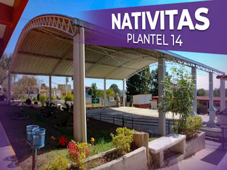 INICIA CEDHT QUEJA POR POSIBLES OMISIONES DE DIRECTIVOS DEL COBAT DE NATÍVITAS, TRAS AGRESIÓN A UNA ALUMNA CUYA FAMILIA PRESENTÓ DENUNCIA POR LESIONES