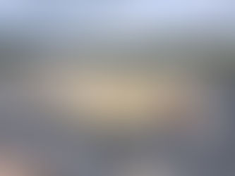 PROTECCIÓN CIVIL DE XALOZTOC RESCATA CUATRO CACHORROS EN RIESGO