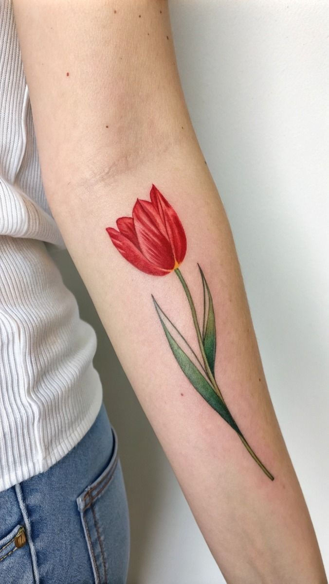 VDK-๋ฒ ํธ๋จ-๋ค๋ญ-ํํฌ-์ฝ๋ฆฌ์