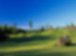 White Horse High Res.jpg