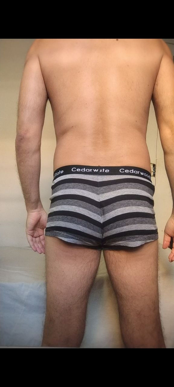 Cueca Sungão Cinza M Cedarwood State